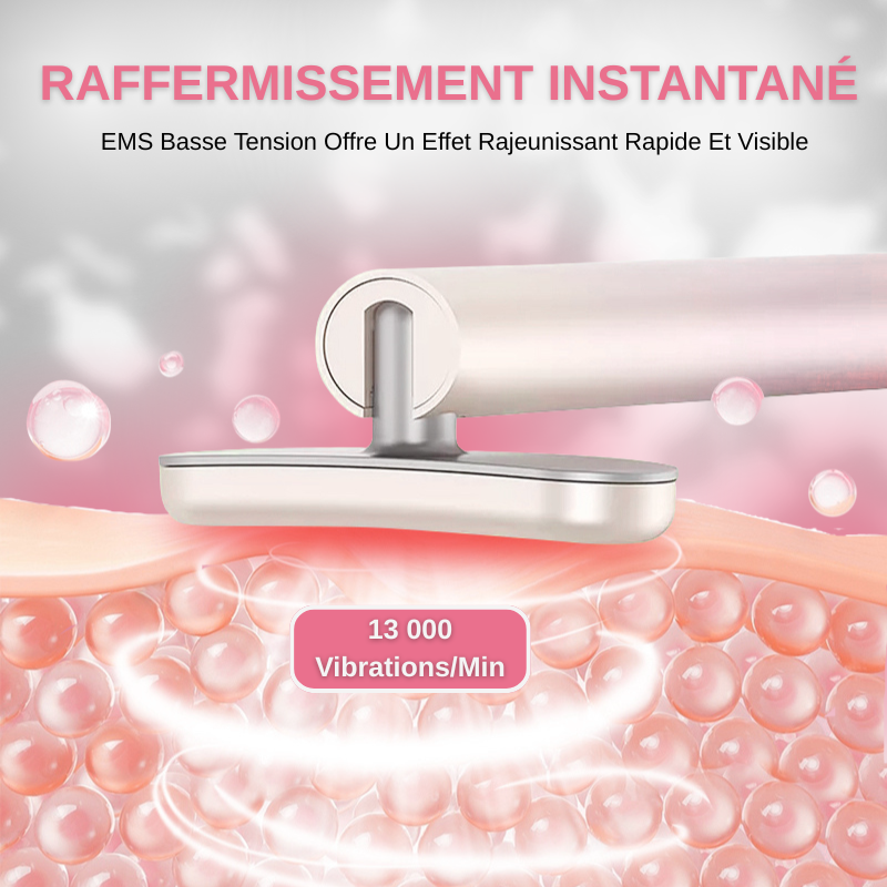 Appareil EMS Pour Visage