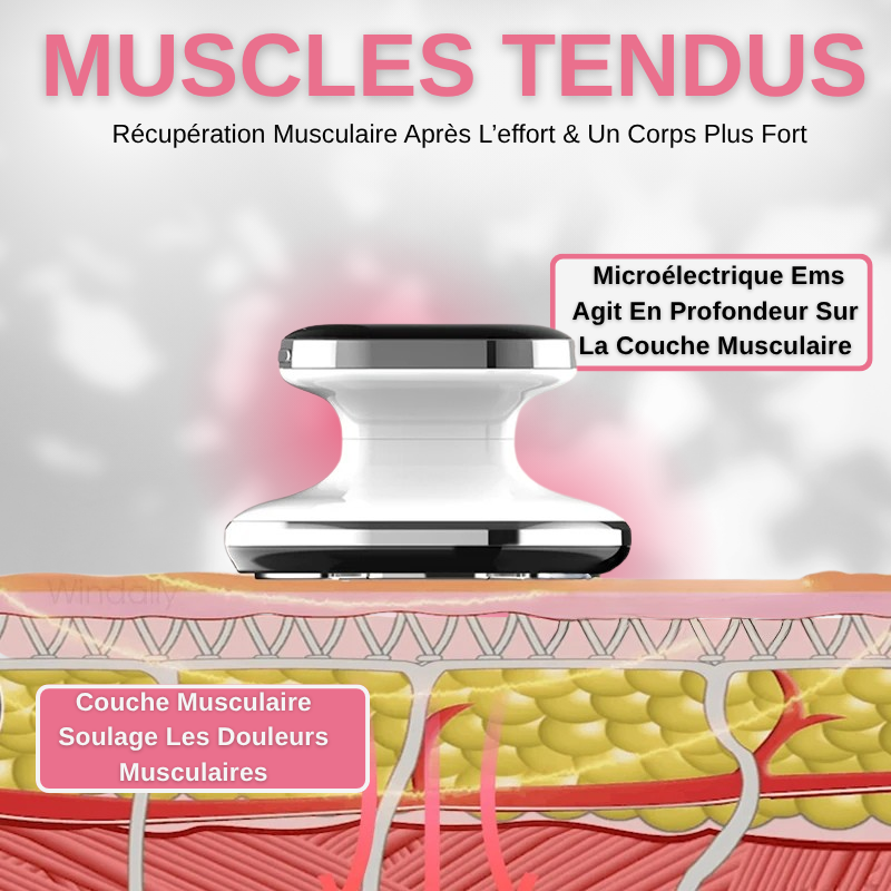 Appareil Minceur EMS Anti Cellulite