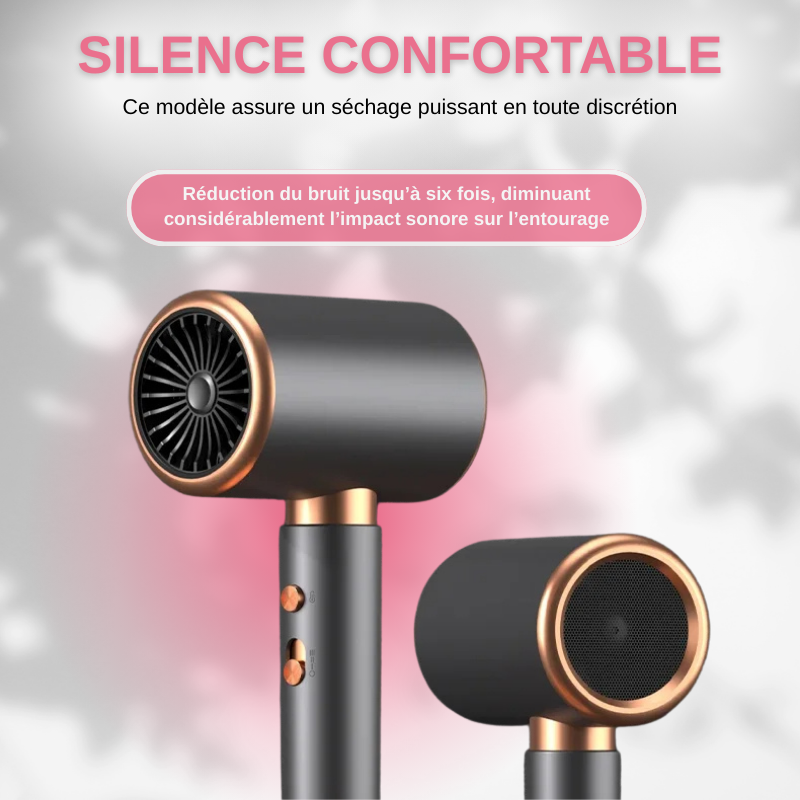 Sèche-cheveux Ionique Professionnel